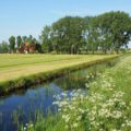 Bijna kopje onder in Grote Veenpolder